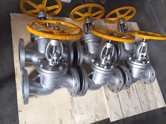 Ss 304 DIN2573 de alta pressão 5K 1/2